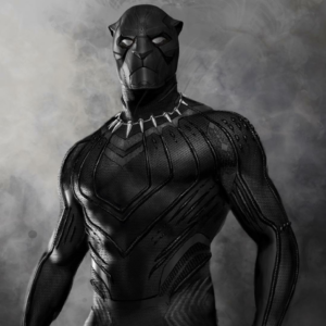 Black Panther Suit